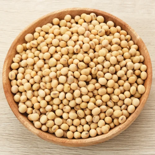 Soybean